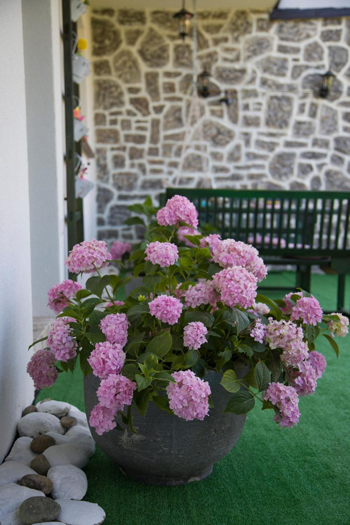 Apartman Flumen Mostar Exteriör bild